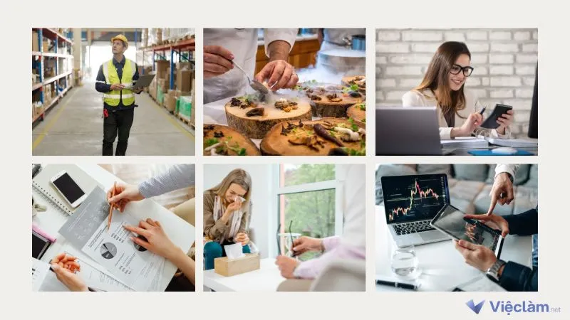 Mệnh Hỏa Hợp Nghề Gì: Gợi Ý Nghề Nghiệp Đúng Bản Mệnh Chuẩn